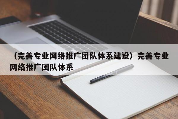 （完善专业网络推广团队体系建设）完善专业网络推广团队体系