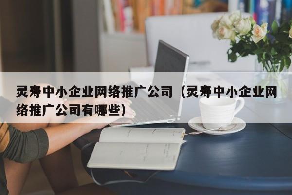 灵寿中小企业网络推广公司（灵寿中小企业网络推广公司有哪些）