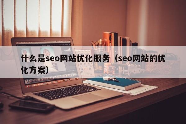 什么是seo网站优化服务（seo网站的优化方案）