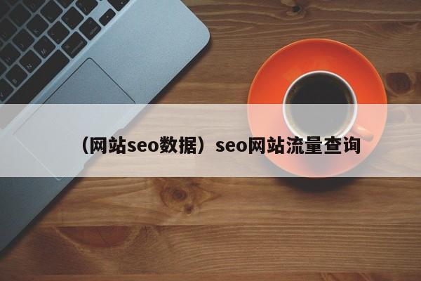 （网站seo数据）seo网站流量查询