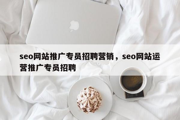 seo网站推广专员招聘营销，seo网站运营推广专员招聘