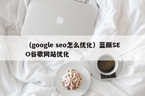 （google seo怎么优化）蓝颜SEO谷歌网站优化