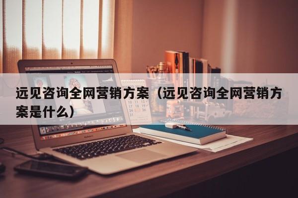 远见咨询全网营销方案（远见咨询全网营销方案是什么）