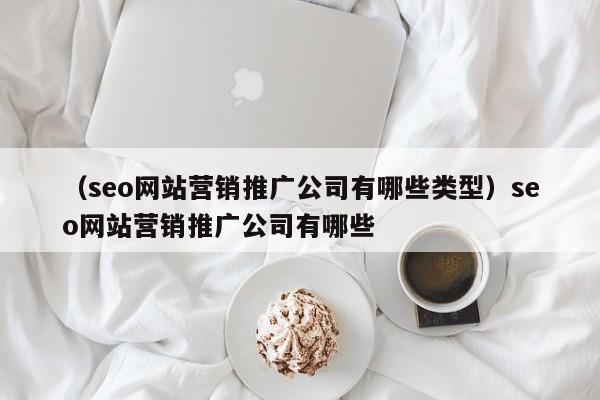 （seo网站营销推广公司有哪些类型）seo网站营销推广公司有哪些