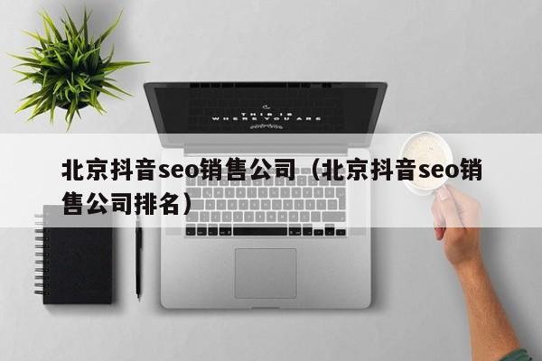 北京抖音seo销售公司（北京抖音seo销售公司排名）