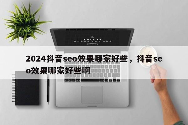 2024抖音seo效果哪家好些，抖音seo效果哪家好些啊