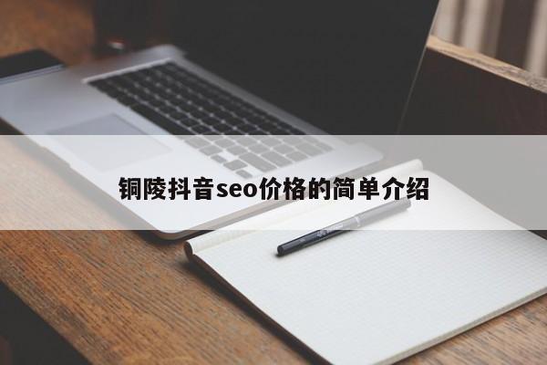 铜陵抖音seo价格的简单介绍