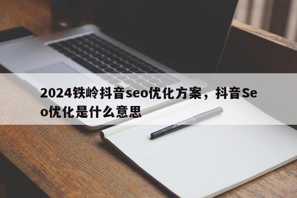 2024铁岭抖音seo优化方案，抖音Seo优化是什么意思