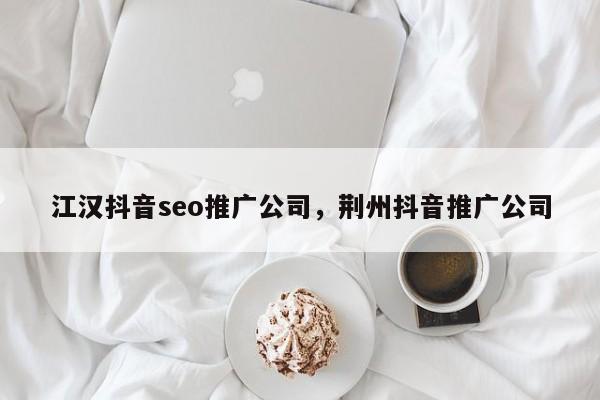 江汉抖音seo推广公司，荆州抖音推广公司