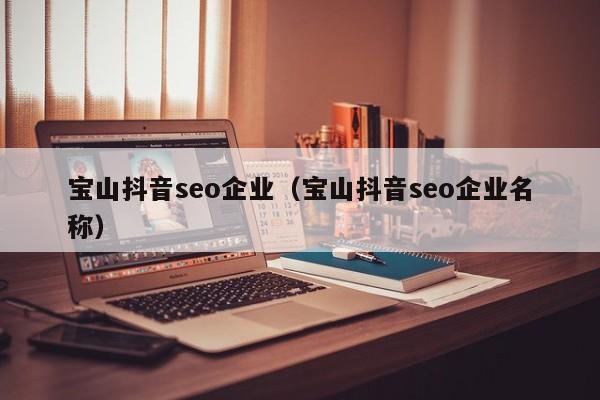 宝山抖音seo企业（宝山抖音seo企业名称）