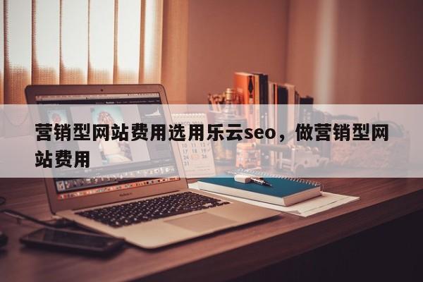 营销型网站费用选用乐云seo，做营销型网站费用