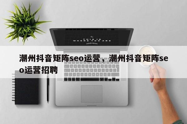 潮州抖音矩阵seo运营，潮州抖音矩阵seo运营招聘