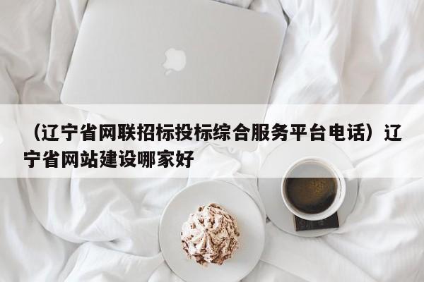 （辽宁省网联招标投标综合服务平台电话）辽宁省网站建设哪家好