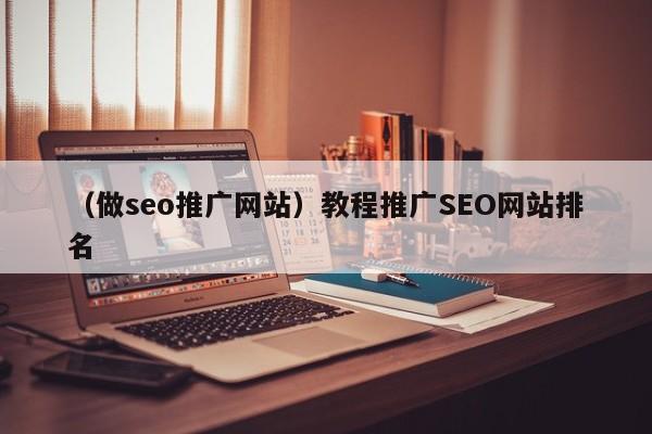 （做seo推广网站）教程推广SEO网站排名