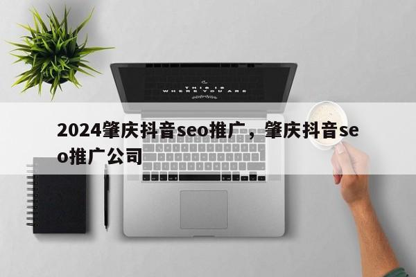 2024肇庆抖音seo推广，肇庆抖音seo推广公司