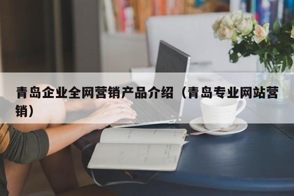 青岛企业全网营销产品介绍（青岛专业网站营销）