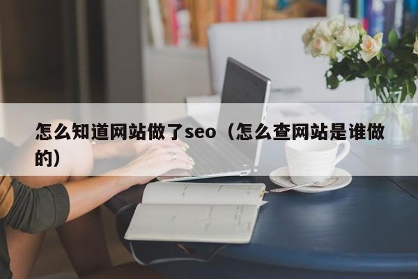 怎么知道网站做了seo（怎么查网站是谁做的）