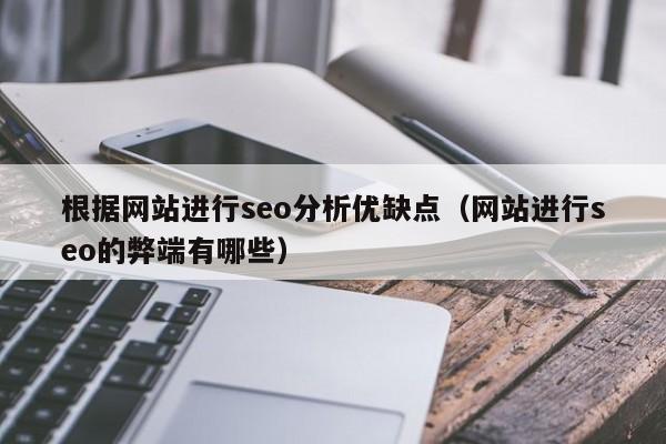 根据网站进行seo分析优缺点（网站进行seo的弊端有哪些）