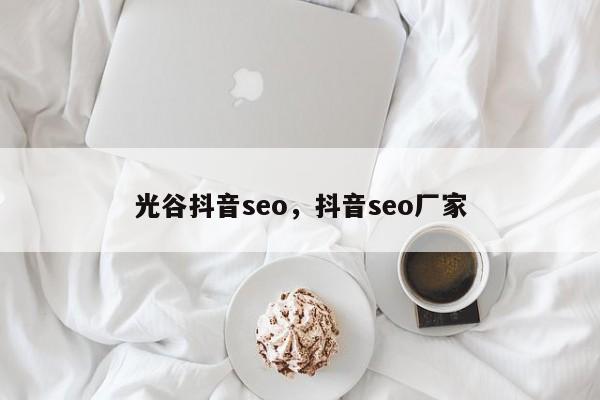 光谷抖音seo，抖音seo厂家