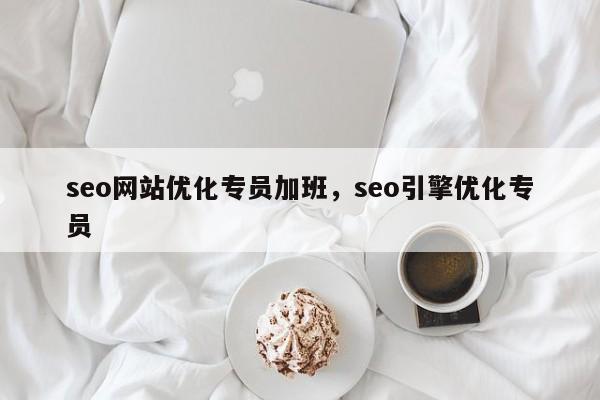 seo网站优化专员加班，seo引擎优化专员