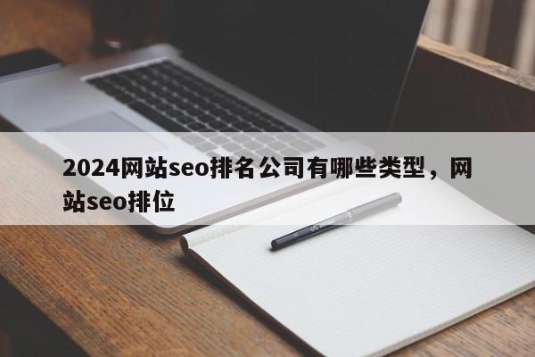 2024网站seo排名公司有哪些类型，网站seo排位