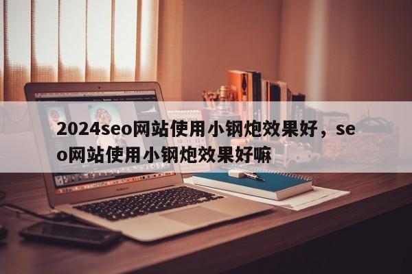 2024seo网站使用小钢炮效果好，seo网站使用小钢炮效果好嘛