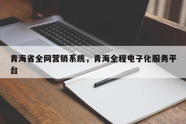 青海省全网营销系统，青海全程电子化服务平台