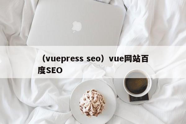 （vuepress seo）vue网站百度SEO