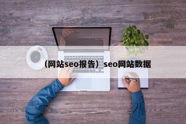 （网站seo报告）seo网站数据