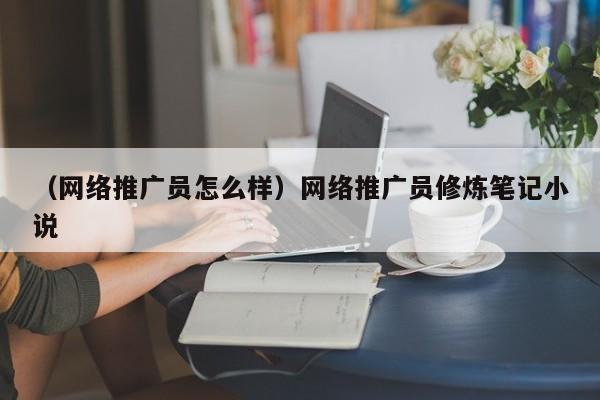 （网络推广员怎么样）网络推广员修炼笔记小说