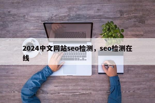 2024中文网站seo检测，seo检测在线