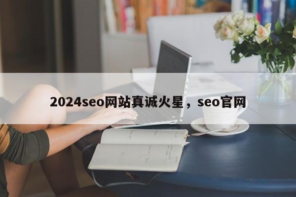 2024seo网站真诚火星，seo官网