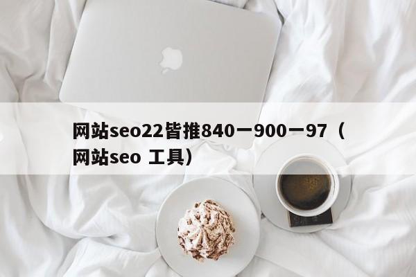 网站seo22皆推840一900一97（网站seo 工具）