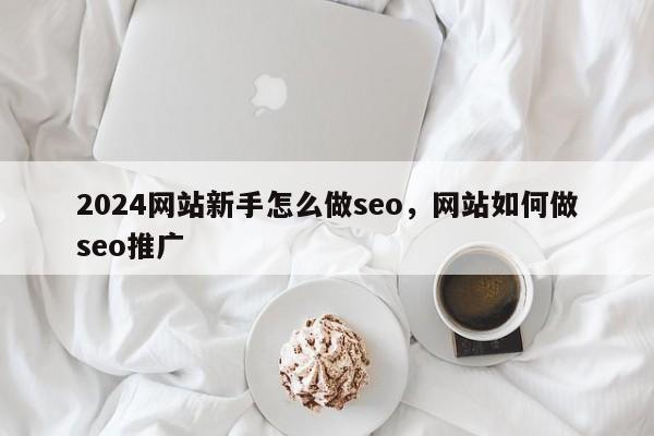 2024网站新手怎么做seo，网站如何做seo推广