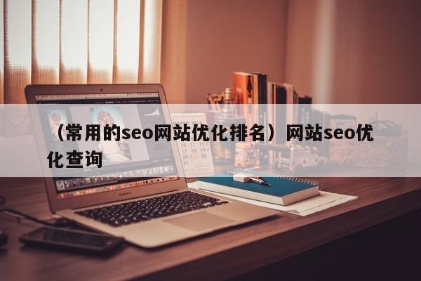 （常用的seo网站优化排名）网站seo优化查询