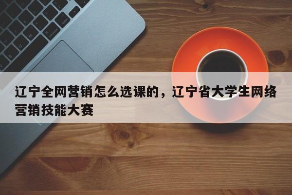 辽宁全网营销怎么选课的，辽宁省大学生网络营销技能大赛