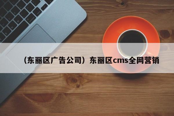 （东丽区广告公司）东丽区cms全网营销