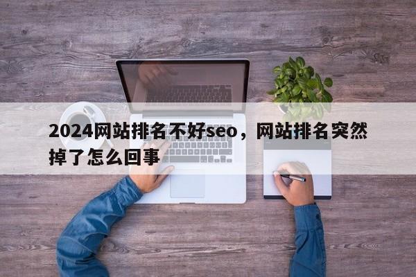 2024网站排名不好seo，网站排名突然掉了怎么回事