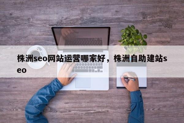 株洲seo网站运营哪家好，株洲自助建站seo