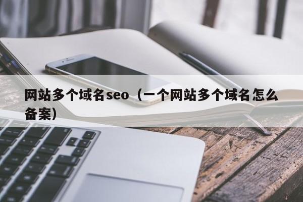 网站多个域名seo（一个网站多个域名怎么备案）