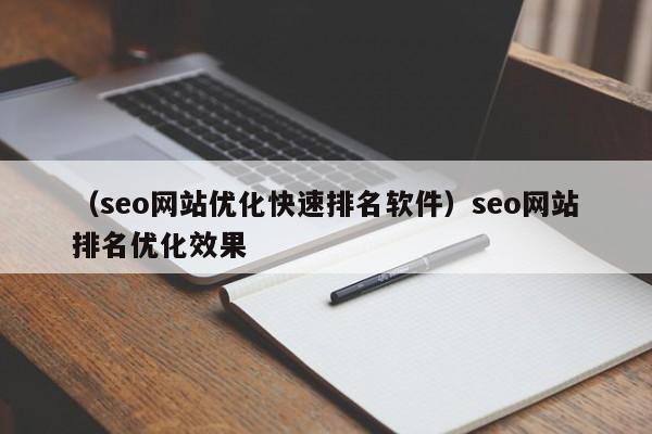 （seo网站优化快速排名软件）seo网站排名优化效果