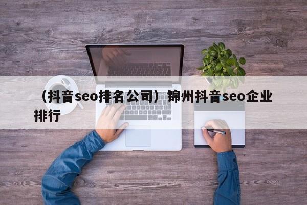 （抖音seo排名公司）锦州抖音seo企业排行