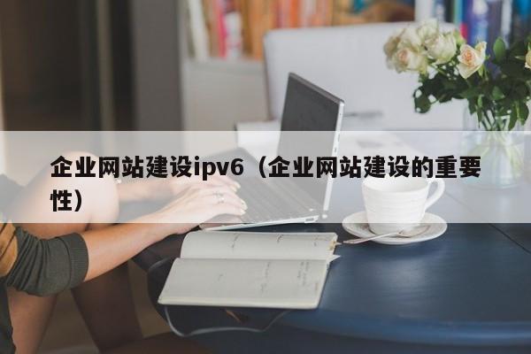 企业网站建设ipv6（企业网站建设的重要性）