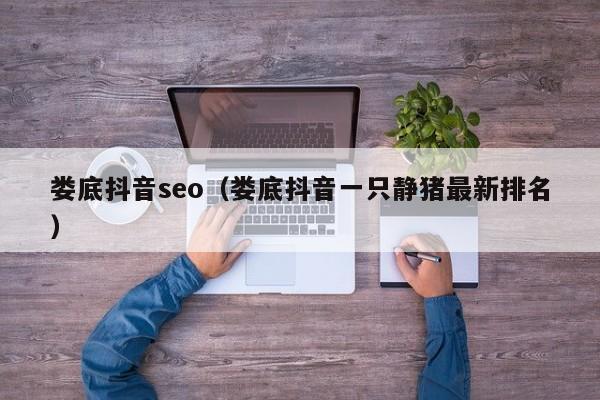 娄底抖音seo（娄底抖音一只静猪最新排名）