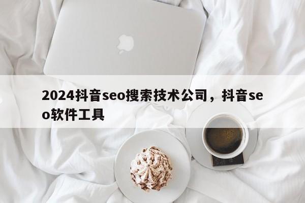 2024抖音seo搜索技术公司，抖音seo软件工具