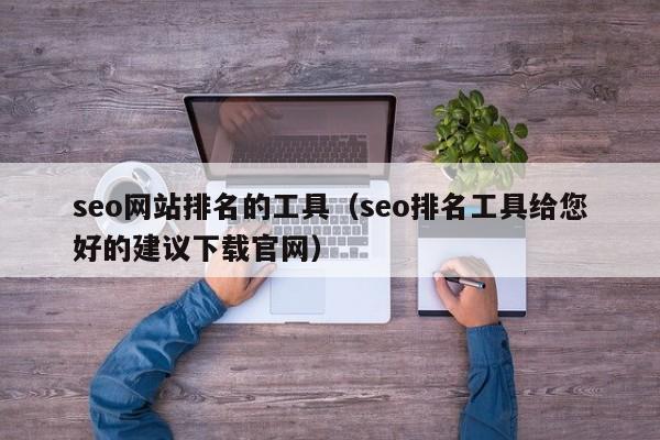 seo网站排名的工具（seo排名工具给您好的建议下载官网）