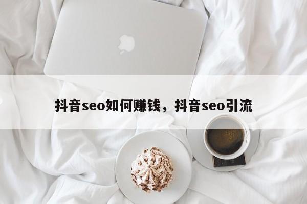 抖音seo如何赚钱，抖音seo引流