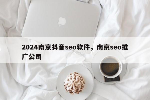 2024南京抖音seo软件，南京seo推广公司