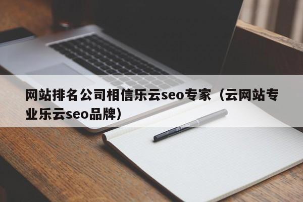 网站排名公司相信乐云seo专家（云网站专业乐云seo品牌）