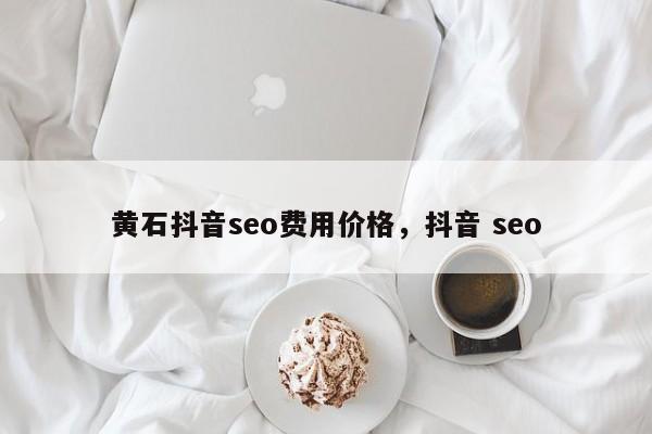 黄石抖音seo费用价格，抖音 seo